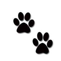 Pet care thumbnail